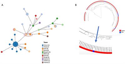 Case report: First report of Legionella pneumophila and Bordetella bronchiseptica coinfection in an immunocompromised patient